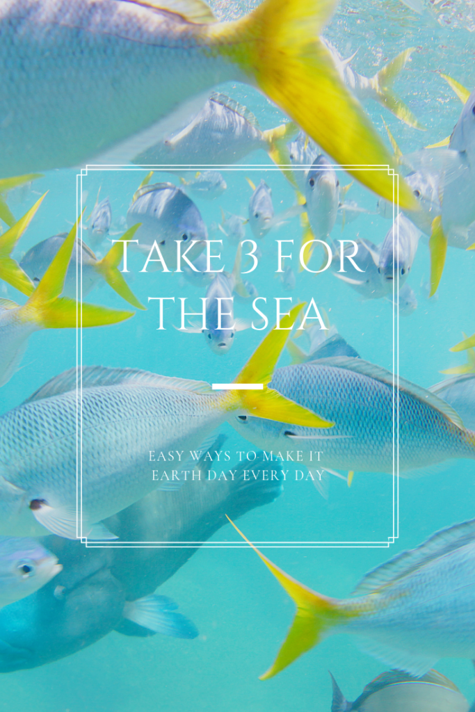 Take 3 for the sea - easy ways to make it earth day every day.