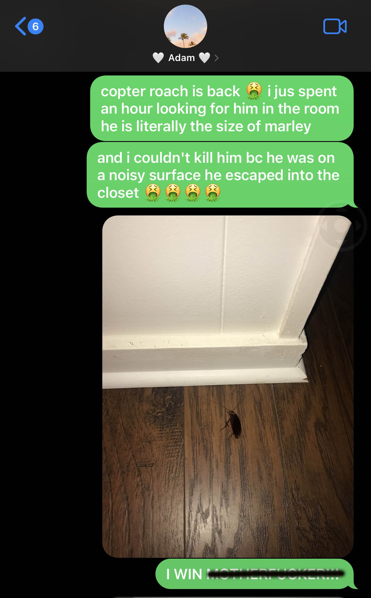 Screenshot of text message sent to husband by postpartum mother who had just killed a cockroach. Image shows cockroach dead on the floor with joyful texts from wife after its demise.