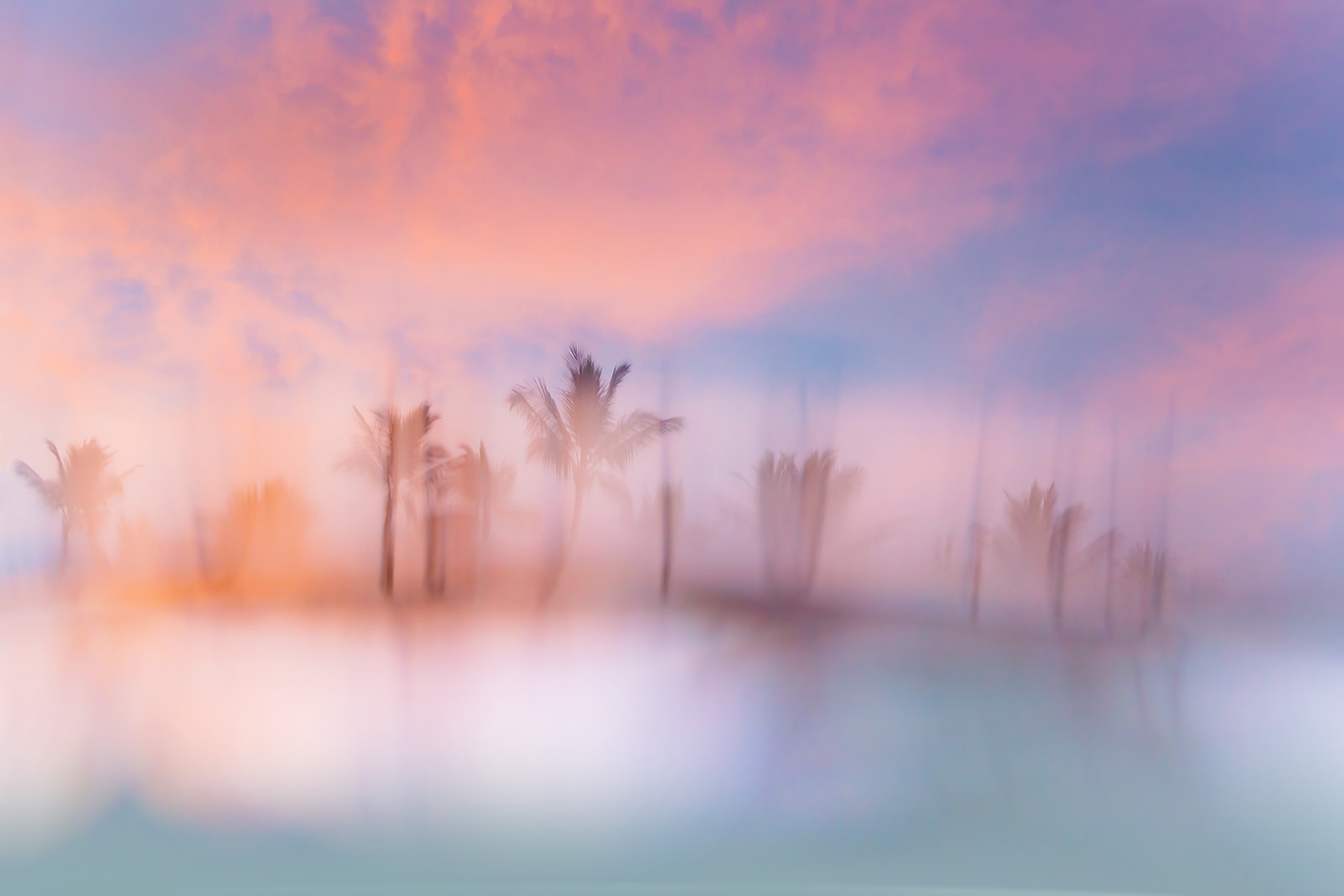 Artistically blurred palm trees along the beach at sunset on Maui.
