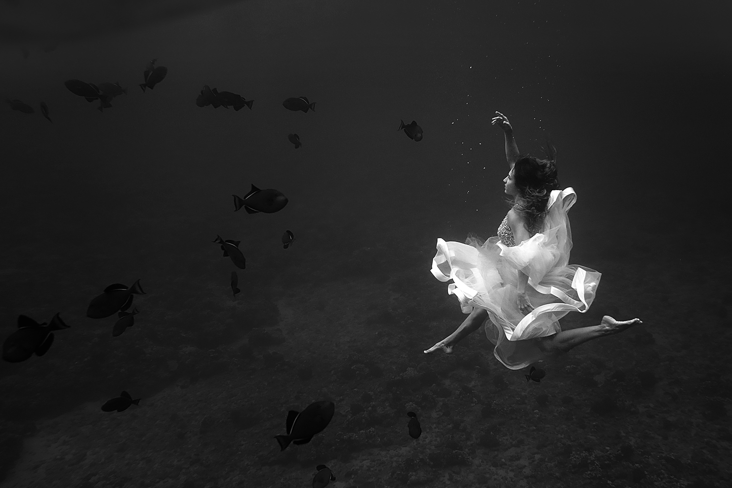 hawaii beach photoshoot idea - black and white underwater image of woman wearing fluffy white wedding dress with fishes in the background photographed in the waters off maui hawaii