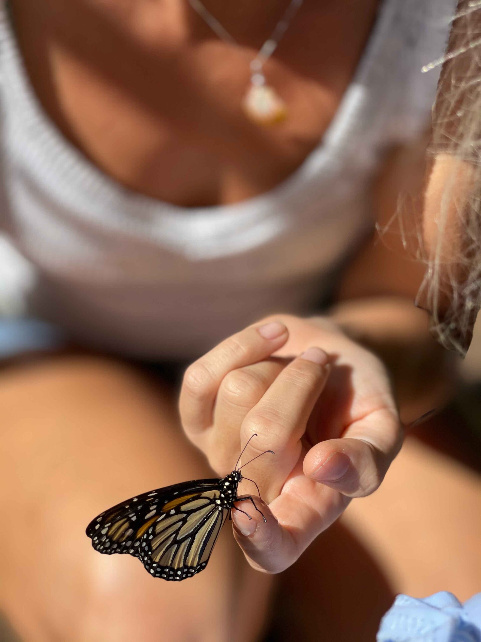 woman holds monarch butterfly on fingertip while visiting the maui butterfly farm