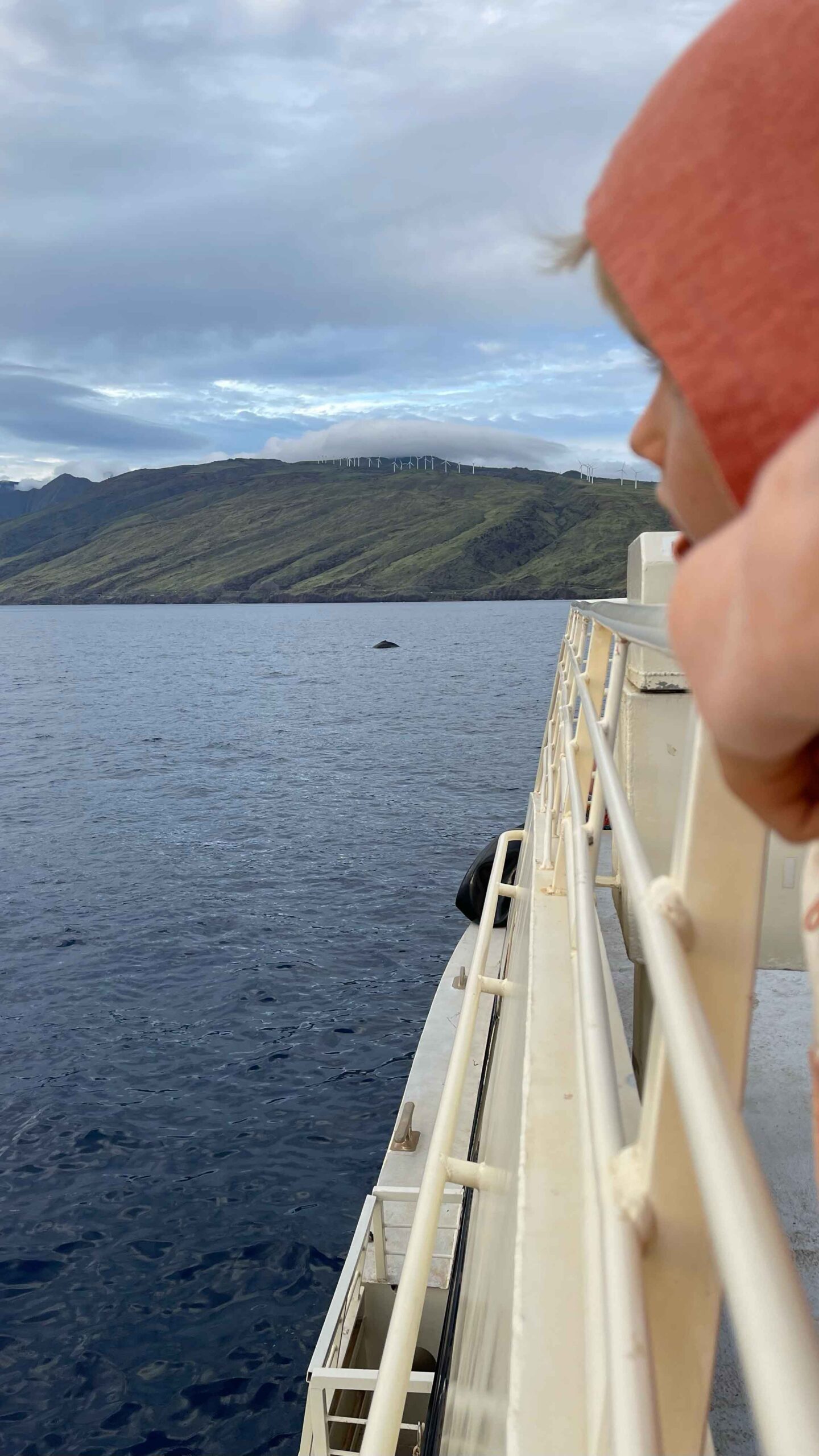 Young boy watches whale during a pacific whale foundation tour on maui