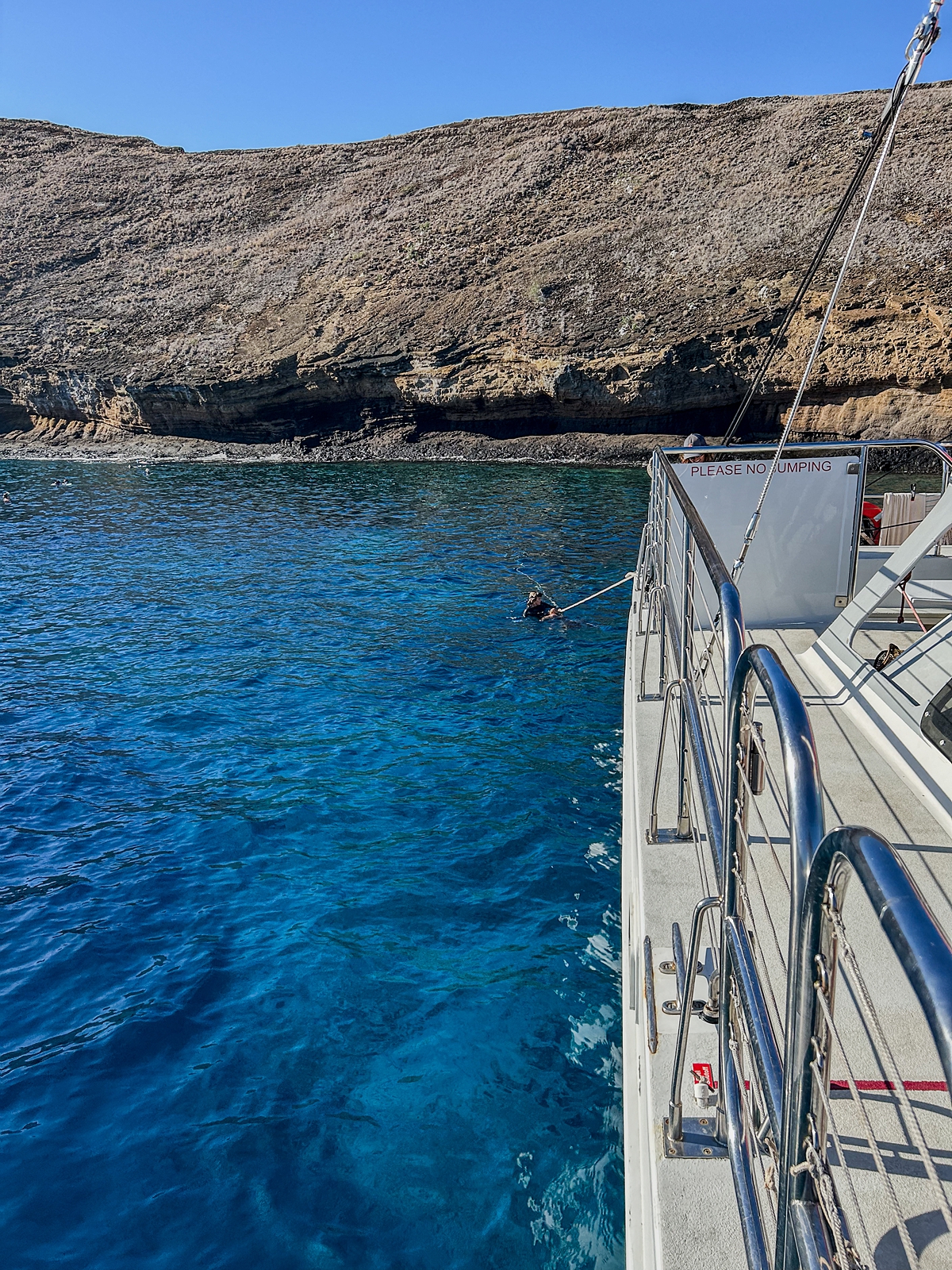 snorkelers enjoy molokini during a sail maui boat tour